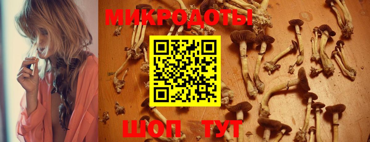 Псилоцибиновые грибы мухоморы Кашира